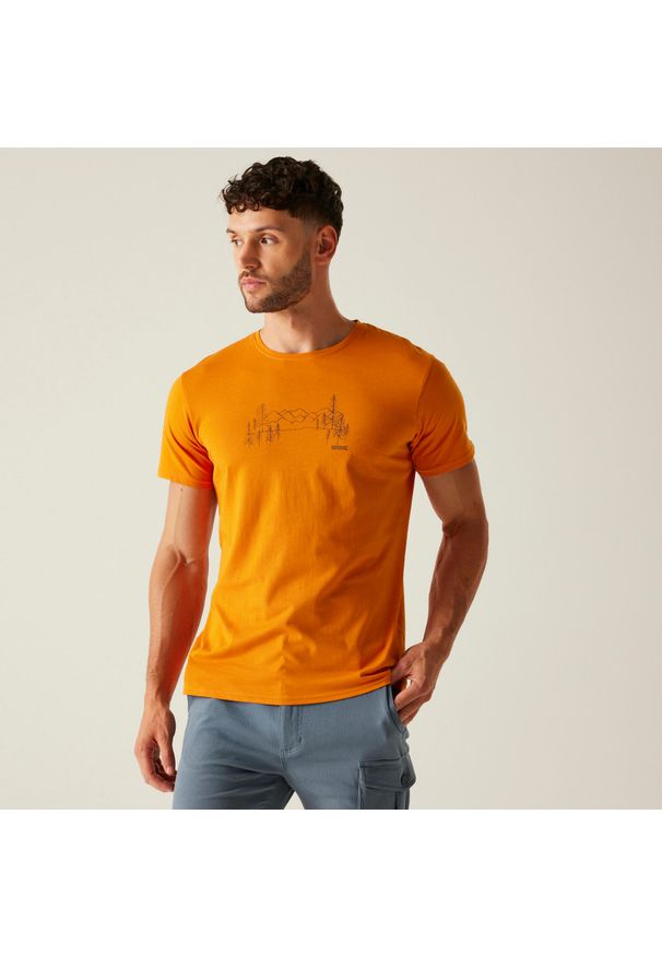 Regatta - Koszulka turystyczna męska Breezed V. Kolor: pomarańczowy. Sport: turystyka piesza