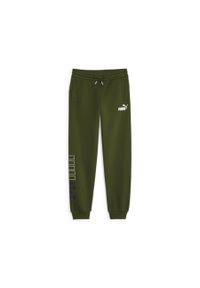 Spodnie Puma Power Colorblock. Kolor: zielony