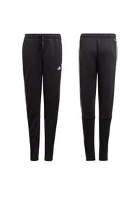 Spodnie fitness dla dzieci Adidas Designed To Move 3-Stripes Pants z kieszeniami. Kolor: czarny. Sport: fitness