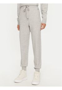 Replay - REPLAY Spodnie dresowe DK3302.000.G23372 Szary Regular Fit. Kolor: szary. Materiał: wiskoza, syntetyk