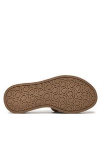 Calvin Klein Klapki Flatform Slide Relock Mono Jacq HW0HW01488 Brązowy. Kolor: brązowy
