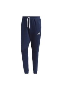 Spodnmie do piłki nożnej męskie Adidas Entrada 22 Sweat Pants. Kolor: niebieski. Materiał: polar, dresówka, materiał