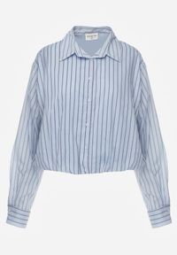 Renee - Niebieska Oversizowa Koszula z Bawełny w Pionowe Paseczki z Gumką Kadink. Okazja: na co dzień. Typ kołnierza: kołnierzyk klasyczny. Kolor: niebieski. Materiał: bawełna. Wzór: paski. Styl: casual, elegancki, klasyczny #2