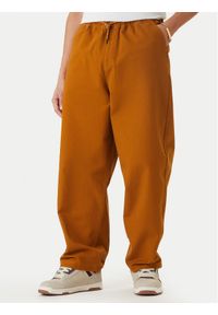 DC Shoes Spodnie materiałowe Framed EDYNP03169 Brązowy Relaxed Fit. Kolor: brązowy. Materiał: bawełna #1