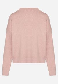 Born2be - Różowy Gładki Sweter o Pudełkowym Kroju ze Stójką Unessa. Okazja: na co dzień. Typ kołnierza: kołnierzyk stójkowy. Kolor: różowy. Materiał: jeans. Wzór: gładki. Styl: casual #4