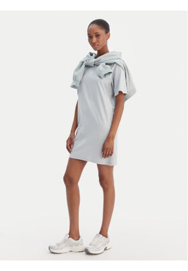 Reebok Sukienka codzienna Surya RK25502CCW Błękitny Regular Fit. Okazja: na co dzień. Kolor: niebieski. Materiał: bawełna. Typ sukienki: proste. Styl: casual