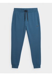4f - Spodnie dresowe joggery męskie. Kolor: niebieski. Materiał: dresówka #1