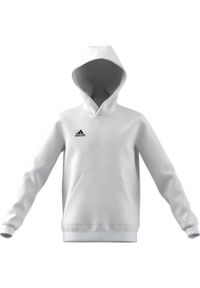Adidas - Bluza piłkarska dla dzieci adidas Entrada 22 Hoody. Kolor: biały, wielokolorowy, czarny. Sport: piłka nożna