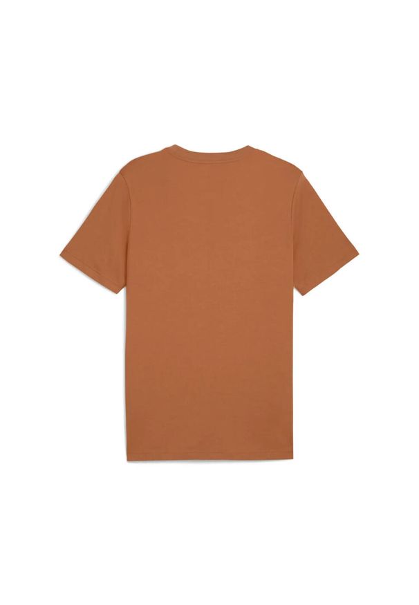 Koszulka na co dzień Męska Puma T-Shirt Bawełniana Sportowa. Kolor: brązowy. Materiał: bawełna. Wzór: haft. Sport: bieganie