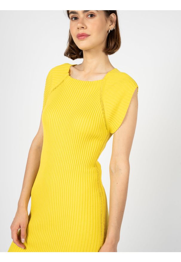 Silvian Heach Sukienka | GPP23163VE | Kobieta | Żółty. Kolor: żółty. Materiał: nylon, wiskoza, bawełna. Długość rękawa: bez rękawów. Wzór: aplikacja. Typ sukienki: dopasowane. Długość: midi