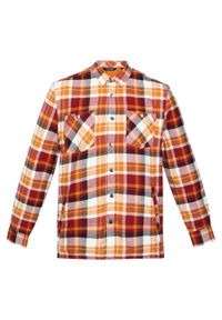 Regatta - Męska Koszula Thamos. Kolor: wielokolorowy, brązowy, żółty. Sport: turystyka piesza #1