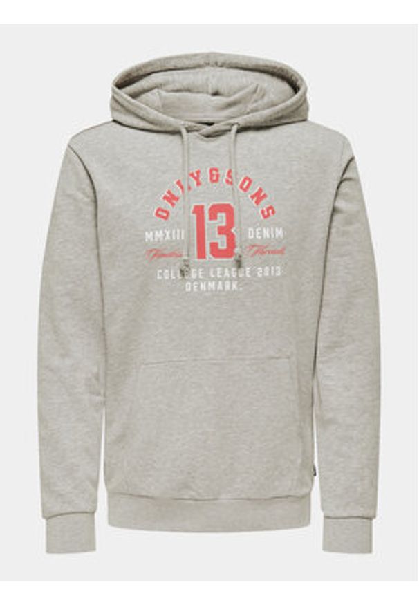 Only & Sons Bluza Lenny 22028594 Szary Regular Fit. Kolor: szary. Materiał: bawełna, syntetyk