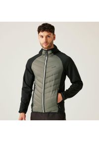 Regatta - Męska kurtka Andreson VIII Hybrid wodoodporna z przegrodami. Kolor: zielony. Materiał: puch. Sport: turystyka piesza #1