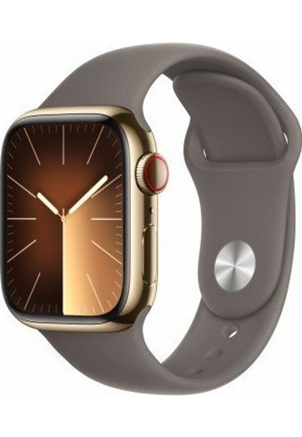 APPLE - Smartwatch Apple Watch 9 GPS + Cellular 41mm Gold Stainless Steel Sport S/M Szary (MRJ53QP/A). Rodzaj zegarka: smartwatch. Kolor: szary. Styl: sportowy