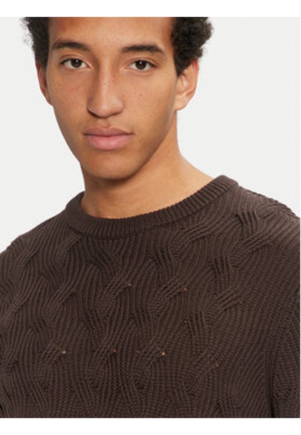 Selected Homme Sweter 16094503 Brązowy Regular Fit. Kolor: brązowy. Materiał: bawełna