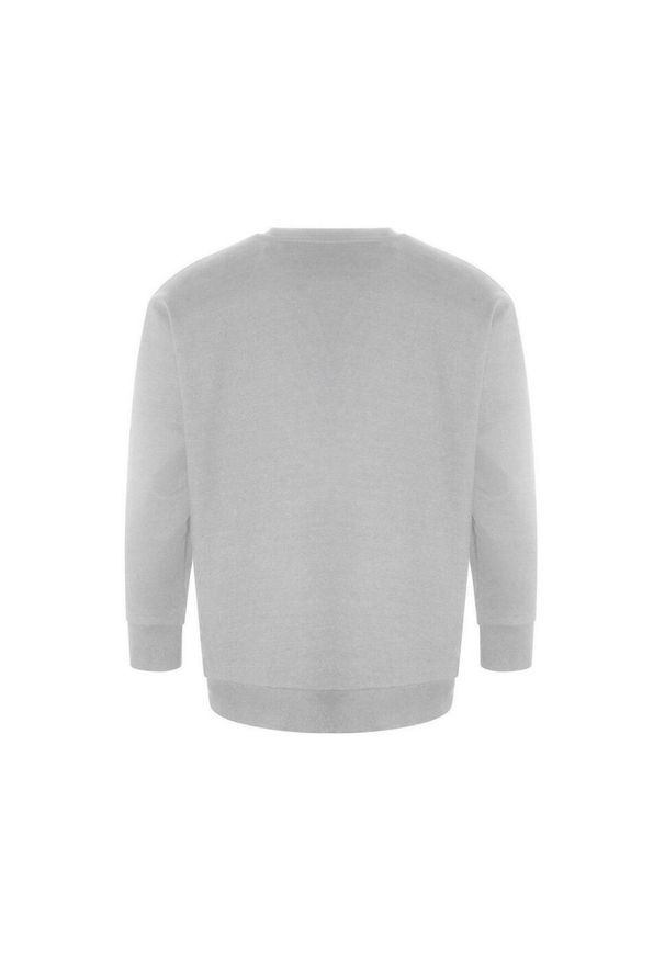 AWDIS - Bluza Z Recyklingu Dla Dorosłych Unisex Ecologie. Kolor: szary