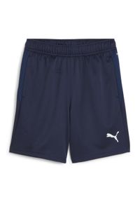 Szorty dla dzieci Puma TeamGOAL. Kolor: niebieski. Styl: sportowy #1