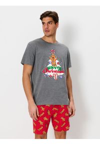 Sinsay - Piżama dwuczęściowa Shrek - szary. Kolor: szary. Długość: krótkie #1