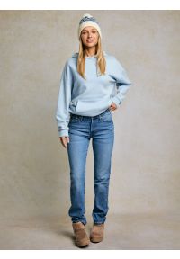 Big-Star - Jeansy damskie proste niebieskie Charlotte 485. Okazja: na co dzień. Stan: podwyższony. Kolor: niebieski. Styl: casual, vintage #10