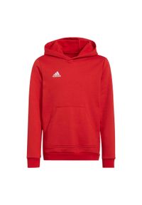 Adidas - Bluza piłkarska dla dzieci adidas Entrada 22 Hoody. Kolor: czerwony. Sport: piłka nożna