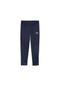 Spodnie treningowe Puma Teamgoal. Kolor: niebieski. Sport: piłka nożna #1