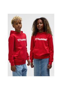 Bluza z kapturem dla dzieci Hummel GO 2.0 Logo. Typ kołnierza: kaptur. Kolor: wielokolorowy, czerwony, różowy. Sport: joga i pilates #1