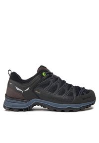 Trekkingi Salewa. Kolor: czarny. Technologia: Gore-Tex. Sport: turystyka piesza #1