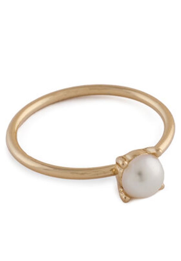 Aldo Zestaw pierścionków Legoweth 13995111 Złoty. Materiał: metalowe. Kolor: złoty