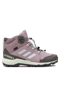 Adidas - Trekkingi adidas. Kolor: fioletowy. Technologia: Gore-Tex. Model: Adidas Terrex. Sport: turystyka piesza