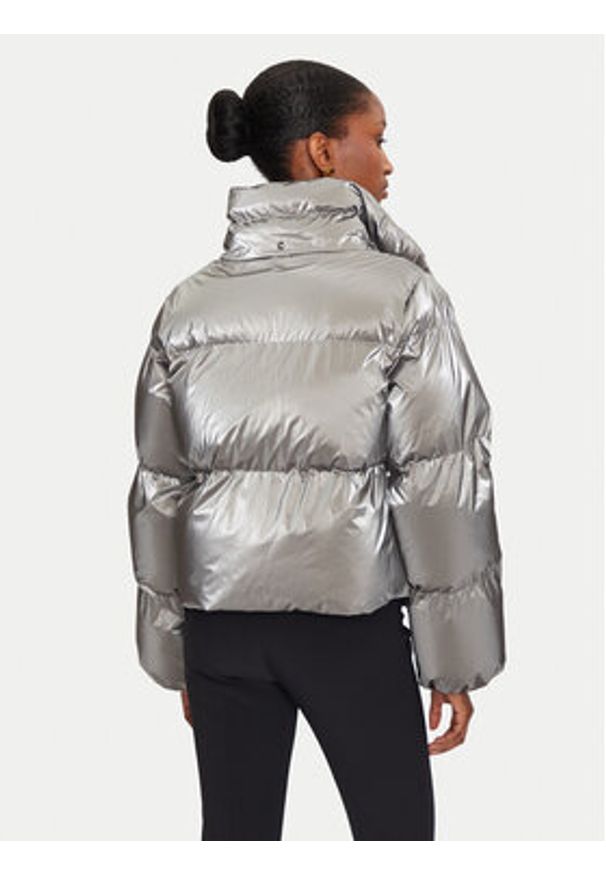 Elisabetta Franchi Kurtka zimowa PI-77D-46E2-V570 Srebrny Regular Fit. Kolor: srebrny. Materiał: syntetyk. Sezon: zima