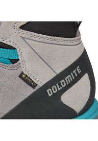 Dolomite Trekkingi Crodarossa W'S Hi Close Fit Gtx GORE-TEX 289242 Szary. Kolor: szary. Materiał: skóra, zamsz