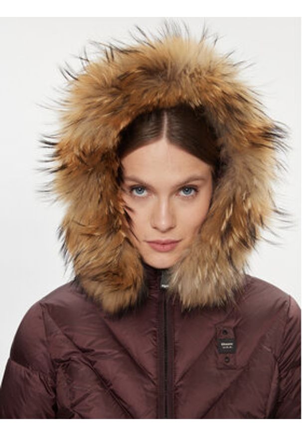 Blauer Kurtka puchowa 23WBLDC03141 Brązowy Regular Fit. Kolor: brązowy. Materiał: syntetyk