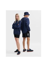 Luźna bluza z okrągłym dekoltem Hummel Bee. Kolor: niebieski, wielokolorowy, zielony. Materiał: materiał. Sport: fitness #1