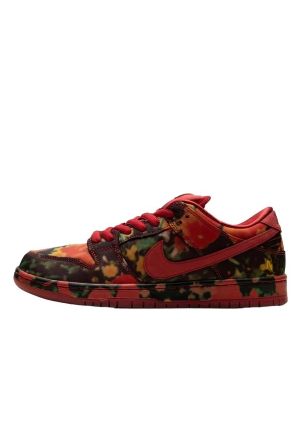 Buty do chodzenia dla dorosłych Nike SB Dunk Low The Wizard of Oz Poppy Field. Kolor: wielokolorowy. Sport: turystyka piesza