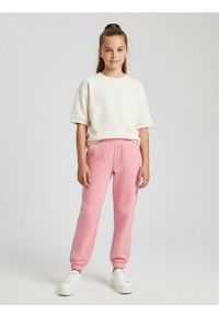 Sinsay - Spodnie dresowe - brązowy. Kolor: brązowy. Materiał: dresówka. Długość: długie #1