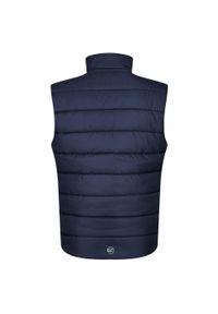 Regatta - Męski Ocieplacz Termiczny Navigate. Kolor: niebieski. Sport: turystyka piesza #2