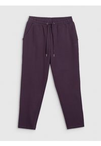 4f - 4F Spodnie dresowe damskie - fioletowe XS. Stan: podwyższony. Kolor: fioletowy. Materiał: dresówka. Sport: turystyka piesza, fitness #1