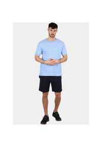 T-shirt męski Nautica Whitby. Kolor: biały, wielokolorowy, niebieski