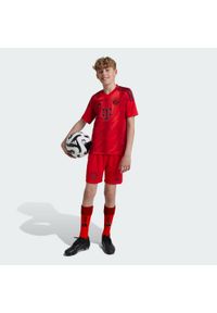 Adidas - Szorty FC Bayern 24/25 Home Kids. Kolor: czerwony. Materiał: materiał. Sport: piłka nożna