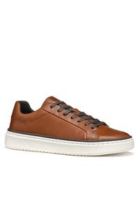 Geox Sneakersy U Zackerty U46HPA 000CL C0013 Brązowy. Kolor: brązowy. Materiał: skóra #3