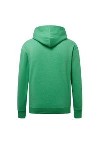 FRUIT OF THE LOOM - Bluza Z Kapturem Męska Regularny. Typ kołnierza: kaptur. Kolor: zielony. Materiał: materiał, poliester, bawełna