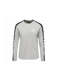 Koszulka z długim rękawem Hummel HML Flint T-Shirt. Kolor: szary. Długość rękawa: długi rękaw. Długość: długie