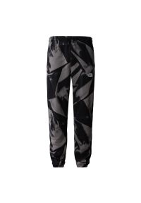 Spodnie The North Face Essential Jogger Print 0A881JSIF1 - szare. Kolor: szary. Materiał: bawełna, dzianina, poliester, dresówka. Wzór: nadruk