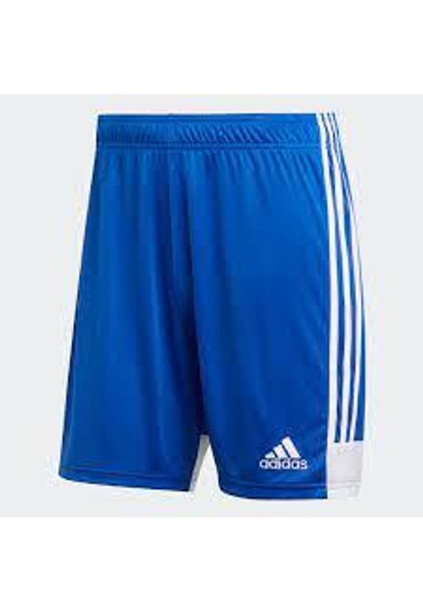 Adidas - Krótkie spodenki piłkarskie adidas Tastigo 19 Męskie. Kolor: niebieski. Długość: krótkie. Sport: piłka nożna