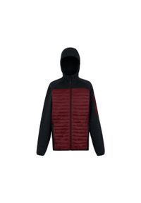 Kurtka hybrydowa Regatta Newhill. Kolor: czarny, czerwony, wielokolorowy. Materiał: puch. Sport: turystyka piesza #1