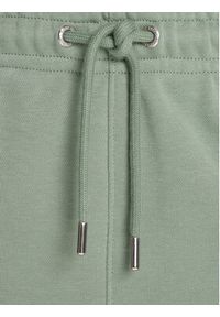 GANT - Gant Spodnie dresowe Shield 4200500 Zielony Regular Fit. Kolor: zielony. Materiał: bawełna #3