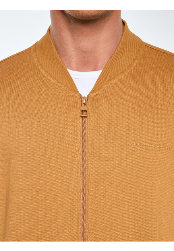 Big-Star - Bluza męska bomber jasnobrązowa Wladorb 803. Okazja: na spacer. Typ kołnierza: kołnierzyk stójkowy. Kolor: brązowy. Materiał: dzianina, materiał. Wzór: nadruk. Styl: klasyczny, sportowy