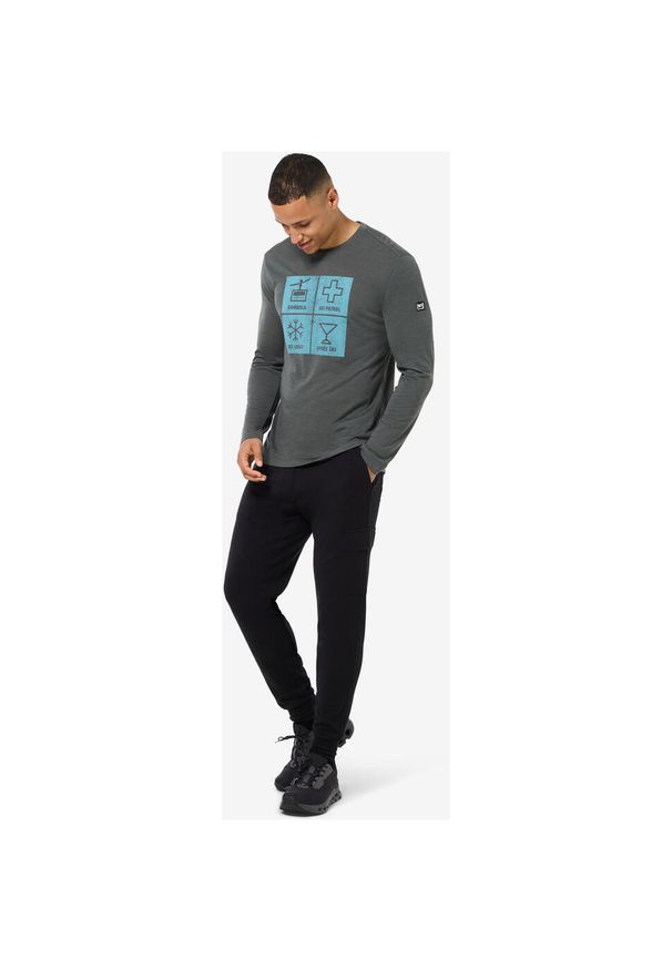 Longsleeve SUPER.NATURAL M SWISS LODGE LS. Kolor: szary. Długość rękawa: długi rękaw