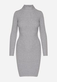 Born2be - Szara Dopasowana Sukienka z Prążkowanej Dzianiny z Golfem Seralinda. Okazja: na co dzień. Typ kołnierza: golf. Kolor: szary. Materiał: prążkowany, dzianina. Długość rękawa: długi rękaw. Styl: wizytowy, klasyczny, casual #5