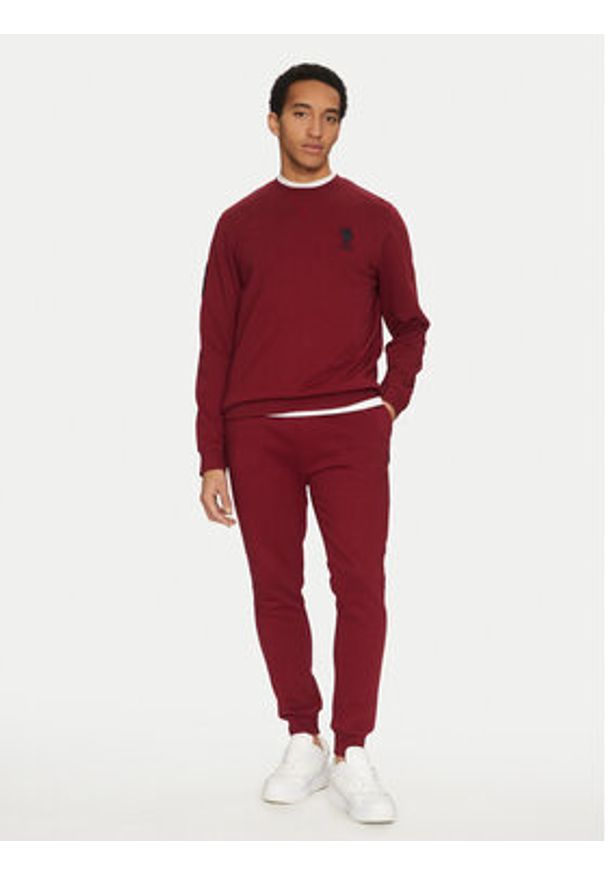 U.S. Polo Assn. Bluza MUP2256 Czerwony Regular Fit. Typ kołnierza: polo. Kolor: czerwony. Materiał: bawełna